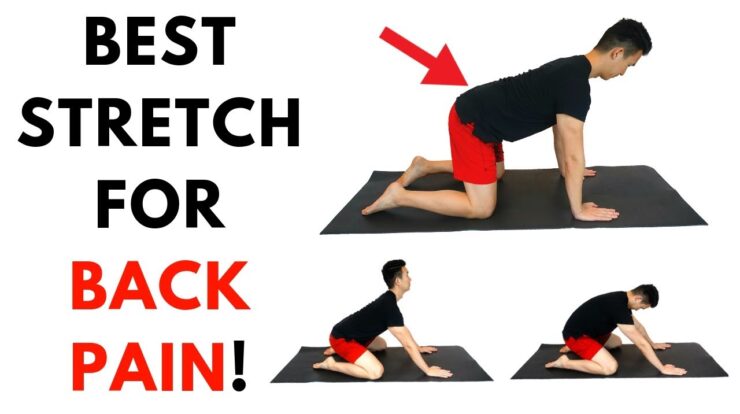 Pain back lower relief exercises relieve stretches sciatica simple tips low exercise stretching sciatic nerve yoga top chronic relieving easy
